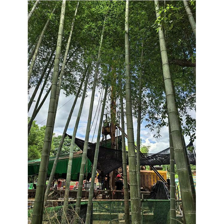 Hubei Xingda XDX-6E Full Hydraulic Core Drilling Rig Operates Steadily at Gasa Project in Yunnan, Advancing Deep Hole Drilling